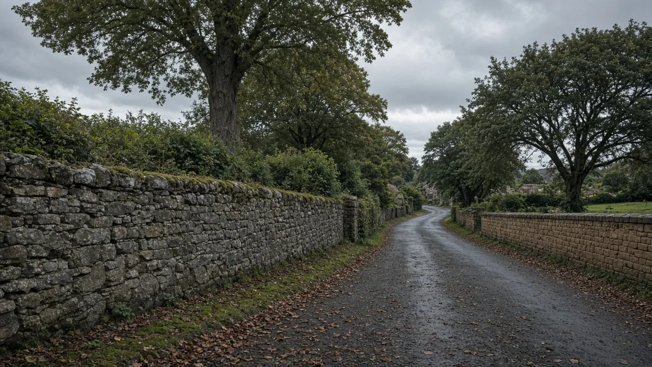Stone walls and trees in Alloway near Ayr, South Ayrshire